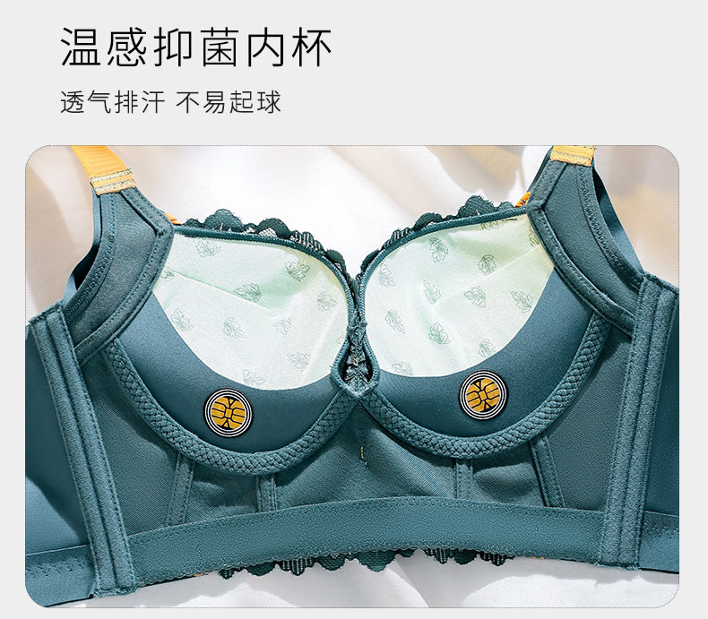 图片[5]-内衣女小胸聚拢显大收副乳调整型文胸矫正防下垂防外扩胸罩秋冬季-DMC